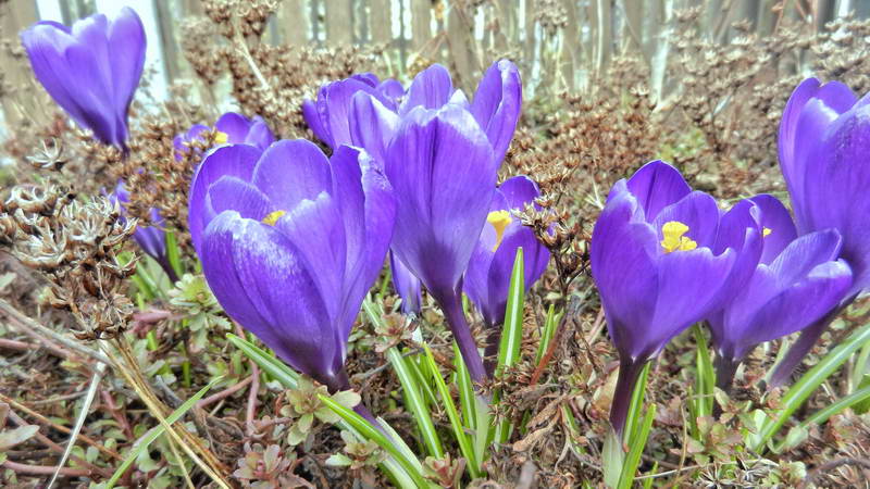 DSCN1278-2 DSCN1278-2