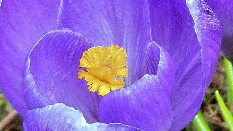 DSCN1279-3 DSCN1279-3