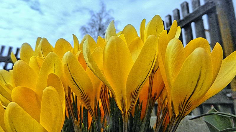 DSCN1282-2 DSCN1282-2