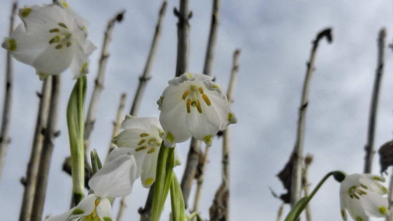 DSCN1289-2 DSCN1289-2