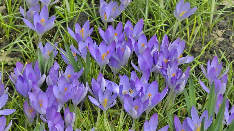 DSCN1292-2 DSCN1292-2