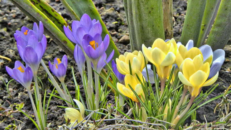 DSCN1295-2 DSCN1295-2