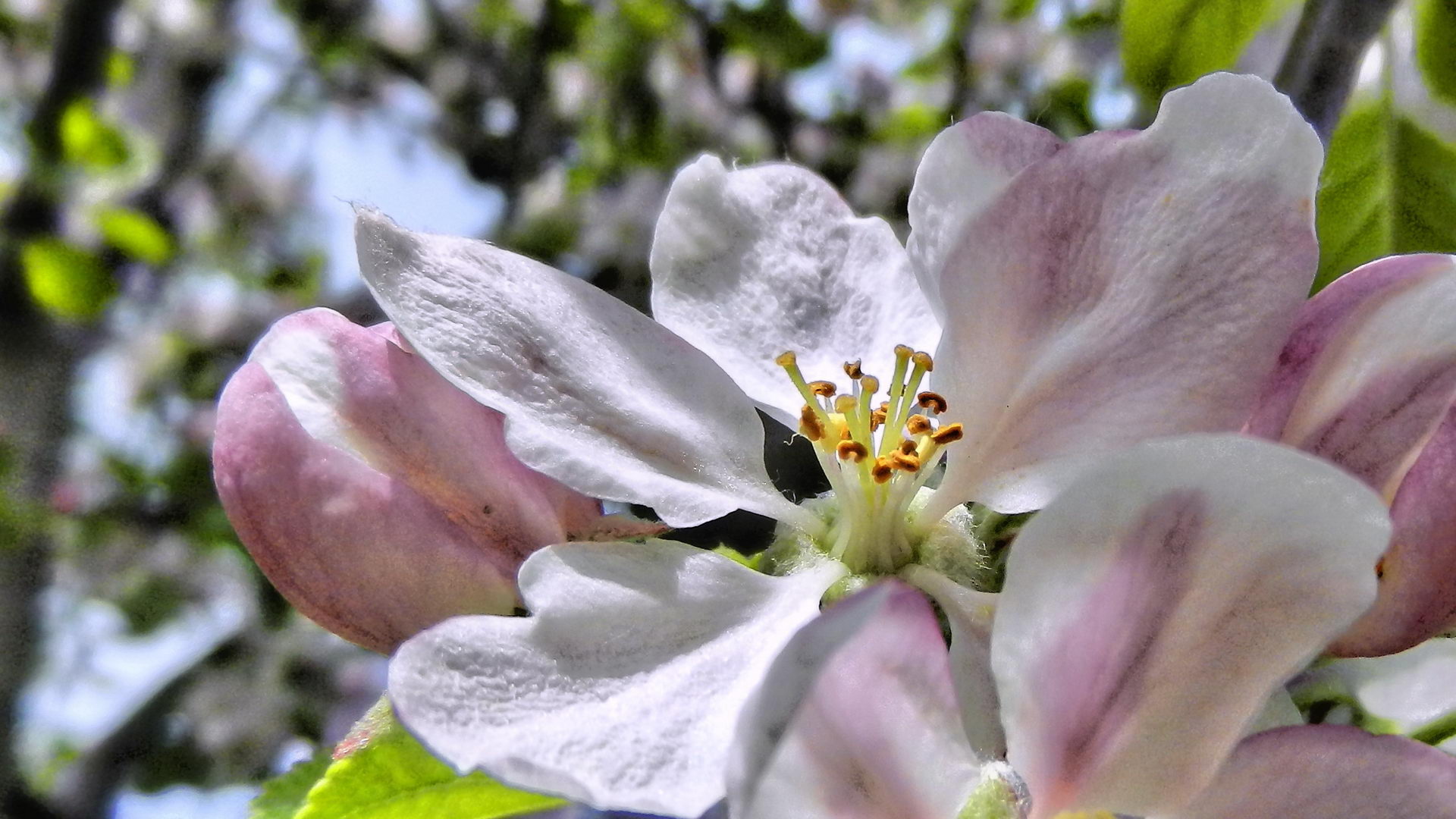 DSCN1978-2 DSCN1978-2