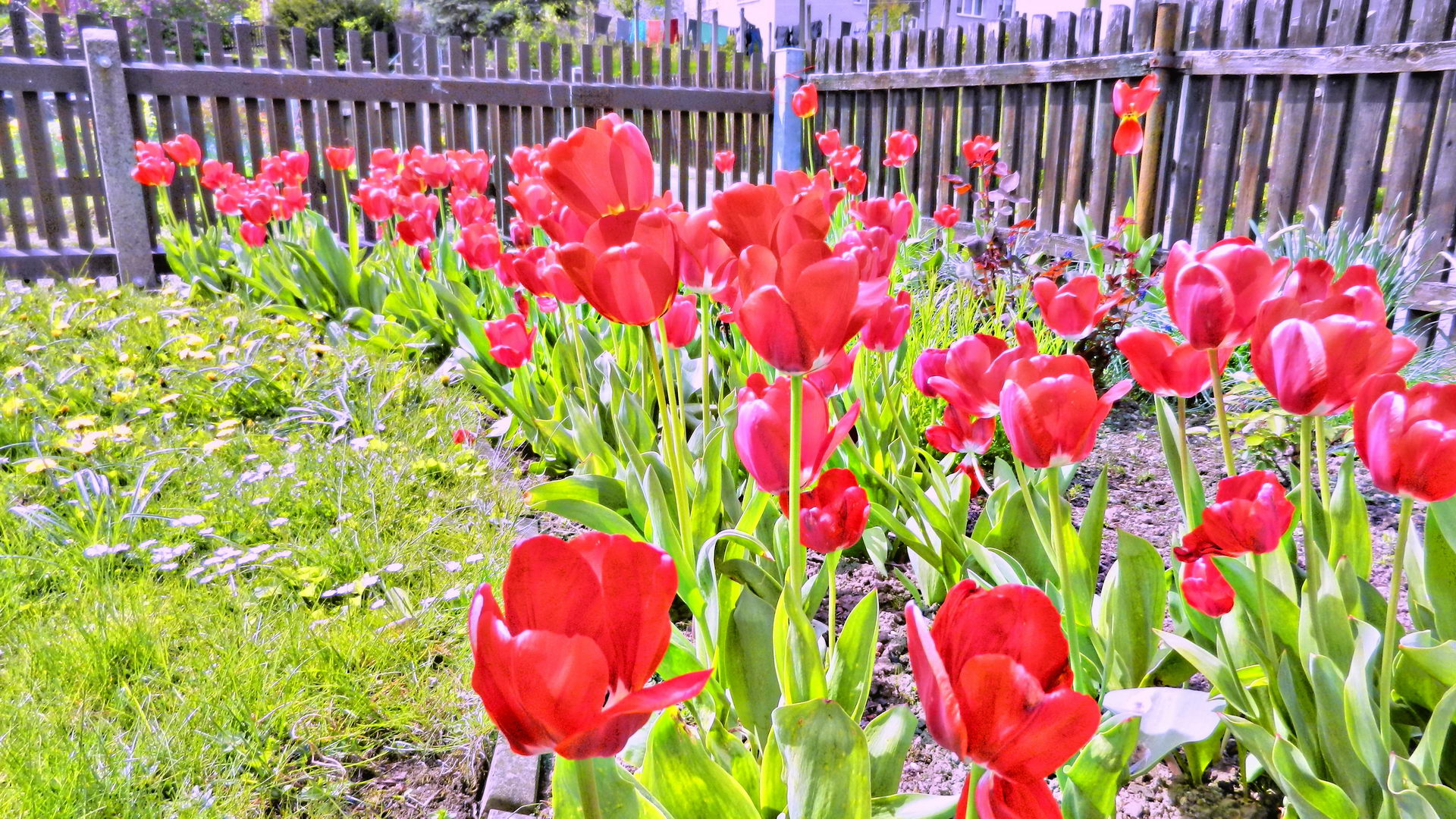 DSCN1984-2 DSCN1984-2