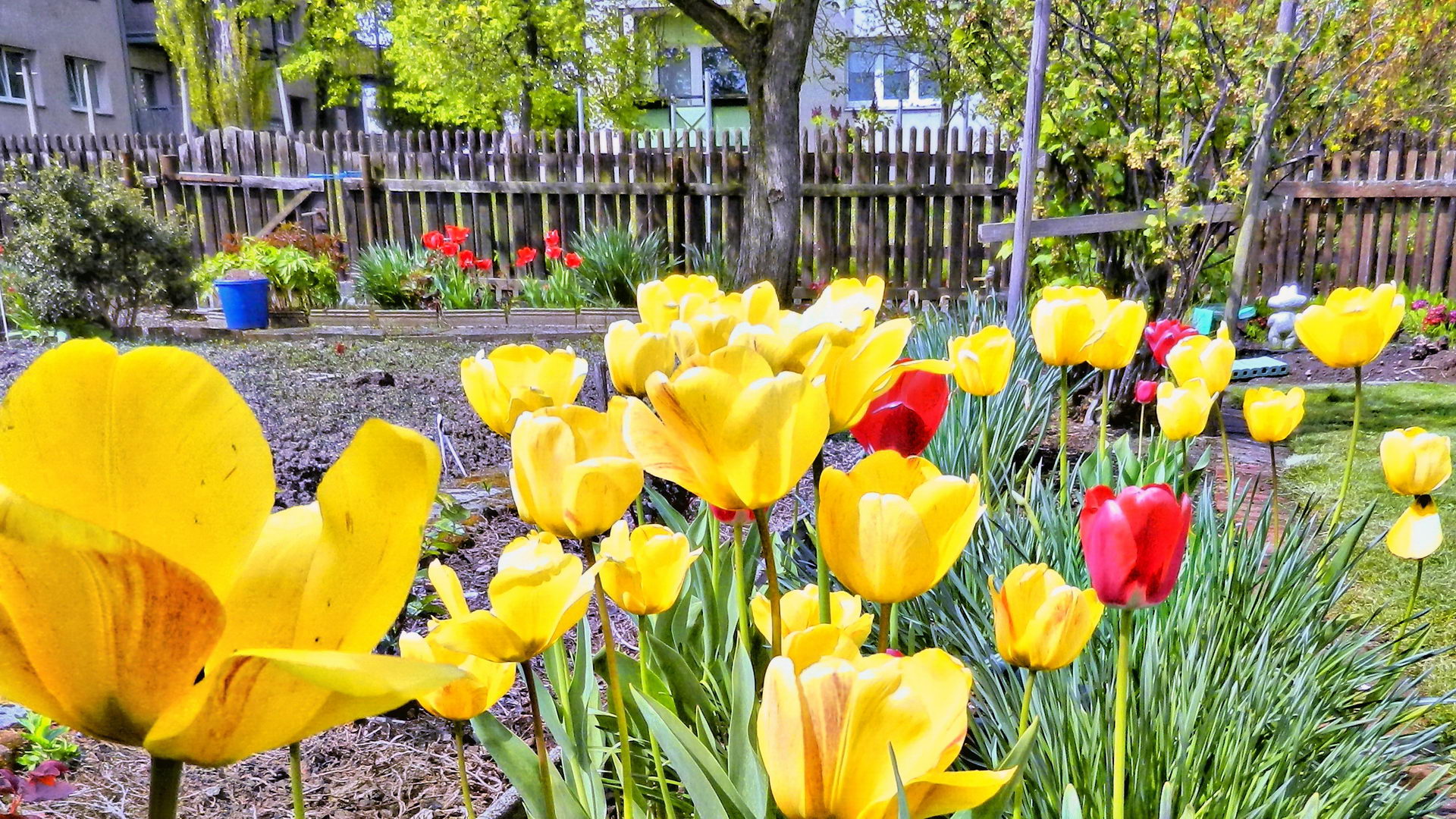 DSCN1987-2 DSCN1987-2