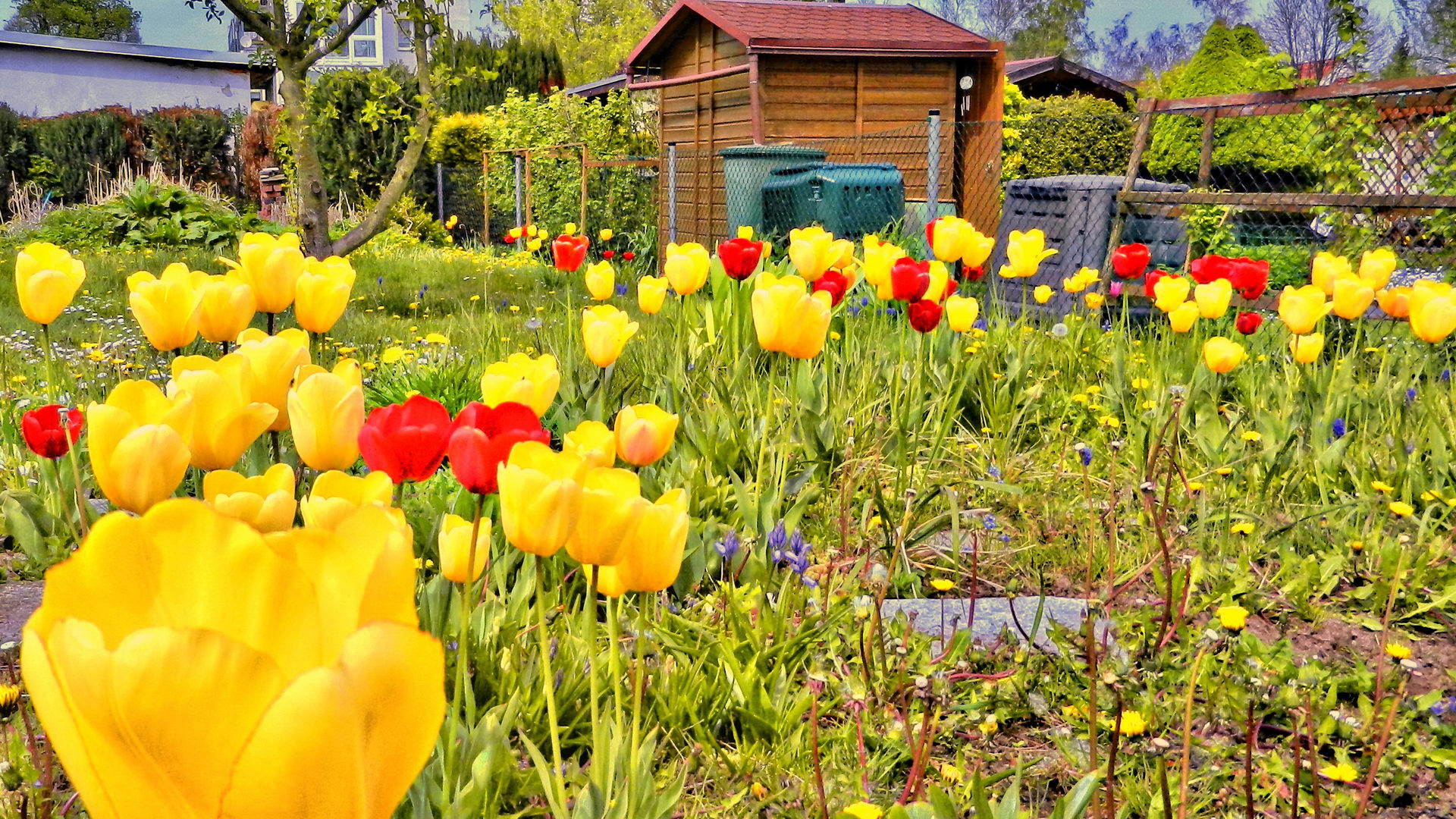 DSCN1993-2 DSCN1993-2