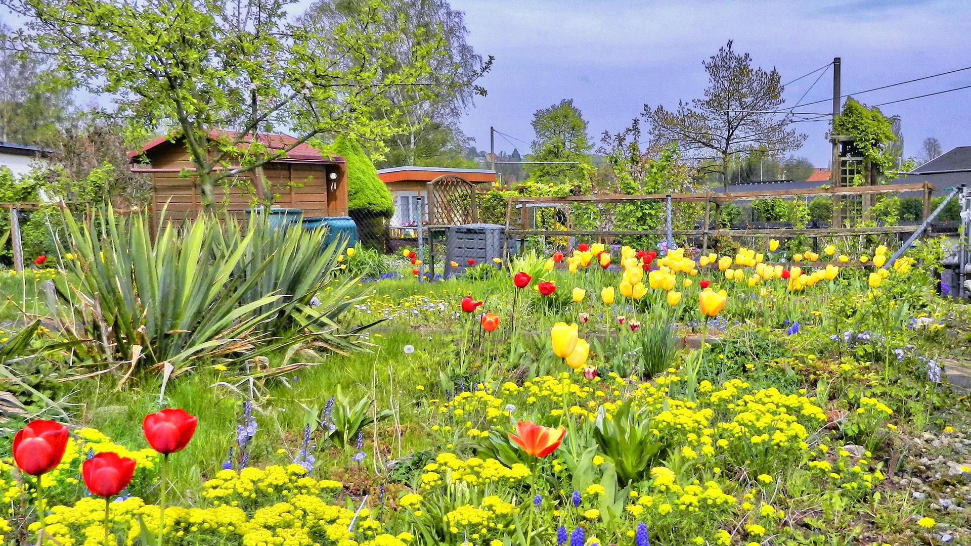 DSCN1994-2 DSCN1994-2