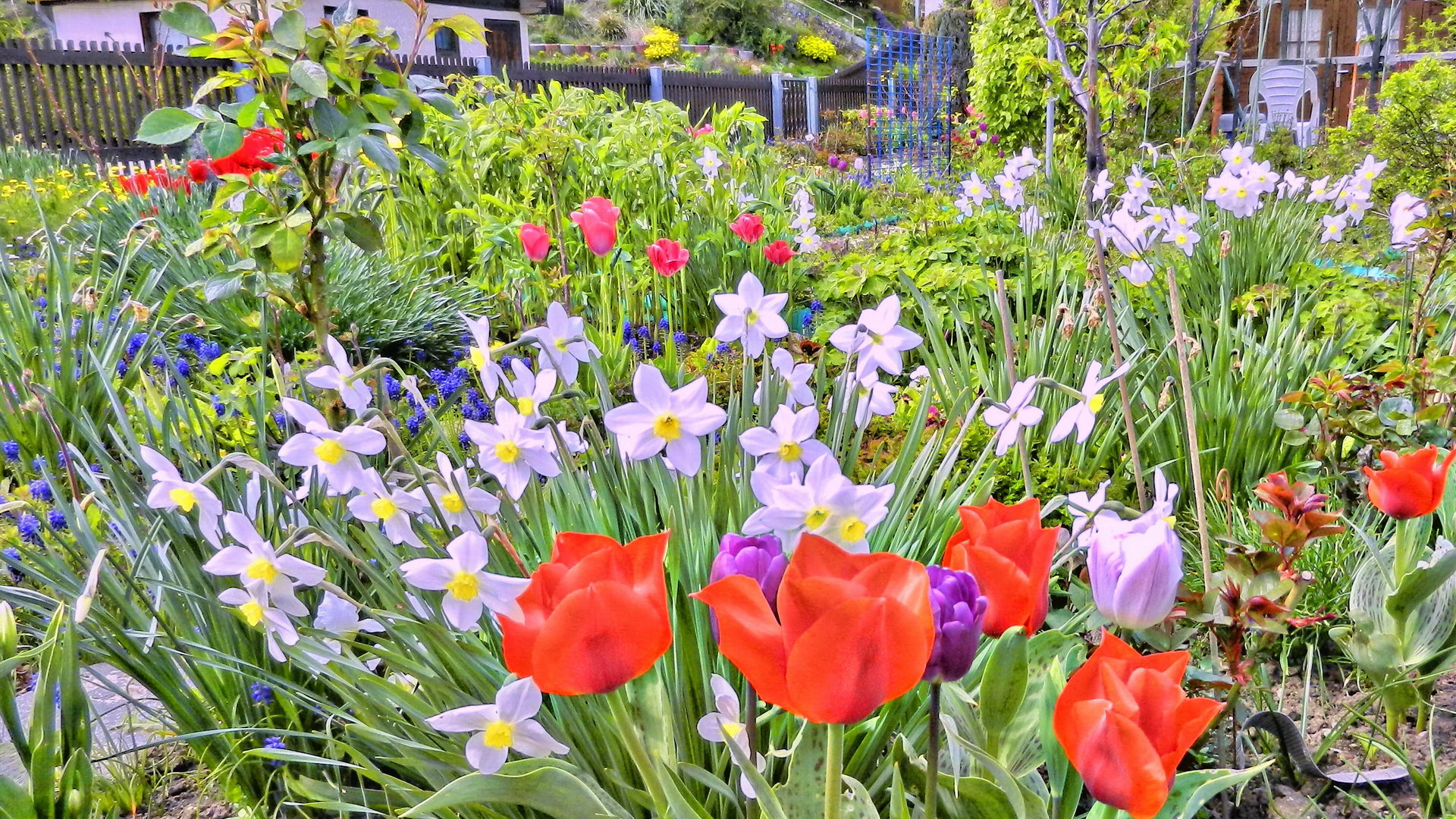 DSCN2002-2 DSCN2002-2