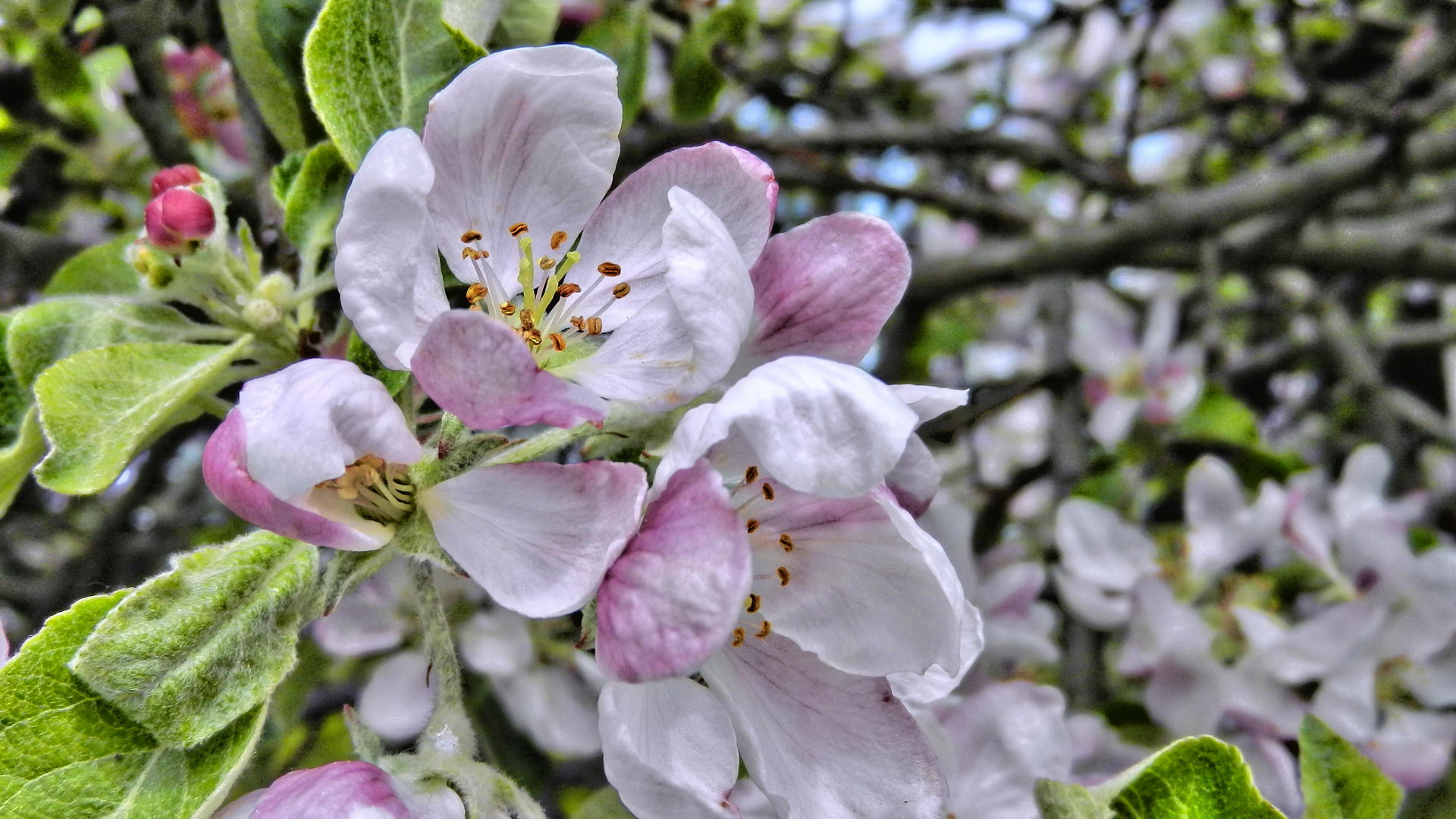 DSCN2005-2 DSCN2005-2