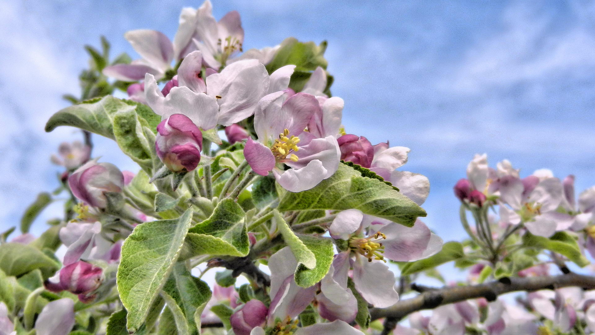 DSCN2006-2 DSCN2006-2