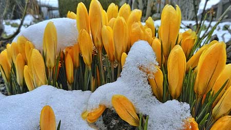 DSCN3117-3 DSCN3117-3