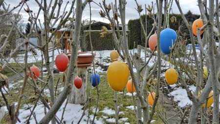 DSCN3120-2 DSCN3120-2