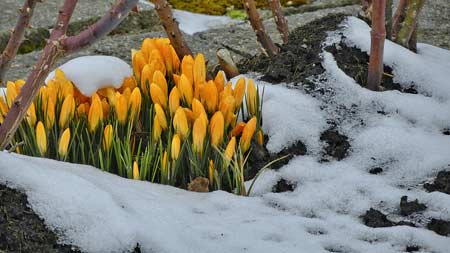 DSCN3126-3 DSCN3126-3