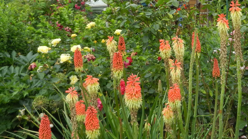 DSCN3705_web DSCN3705_web