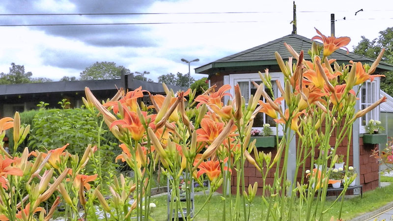 DSCN3707_web DSCN3707_web