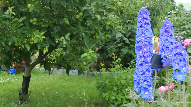 DSCN3709_web DSCN3709_web