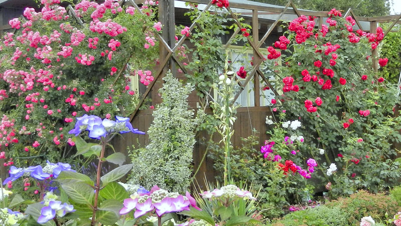 DSCN3713_web DSCN3713_web