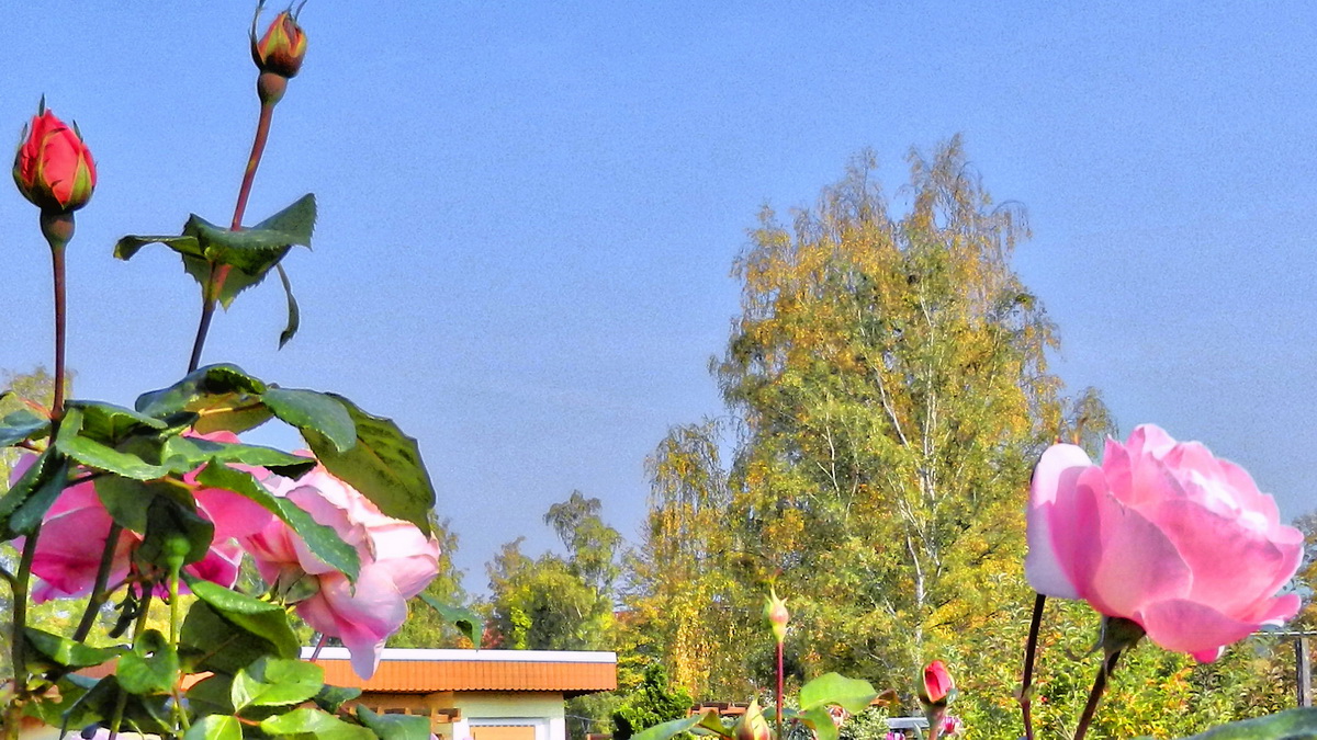 DSCN4574-3 DSCN4574-3