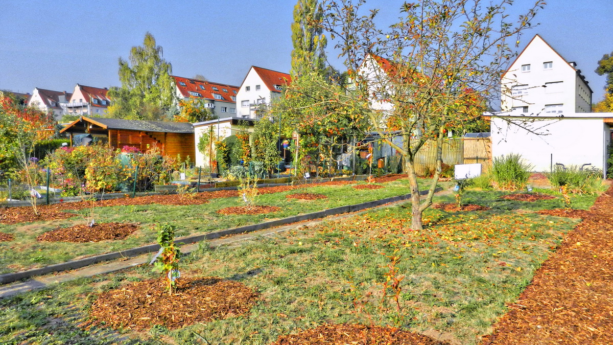 DSCN4575-2 DSCN4575-2