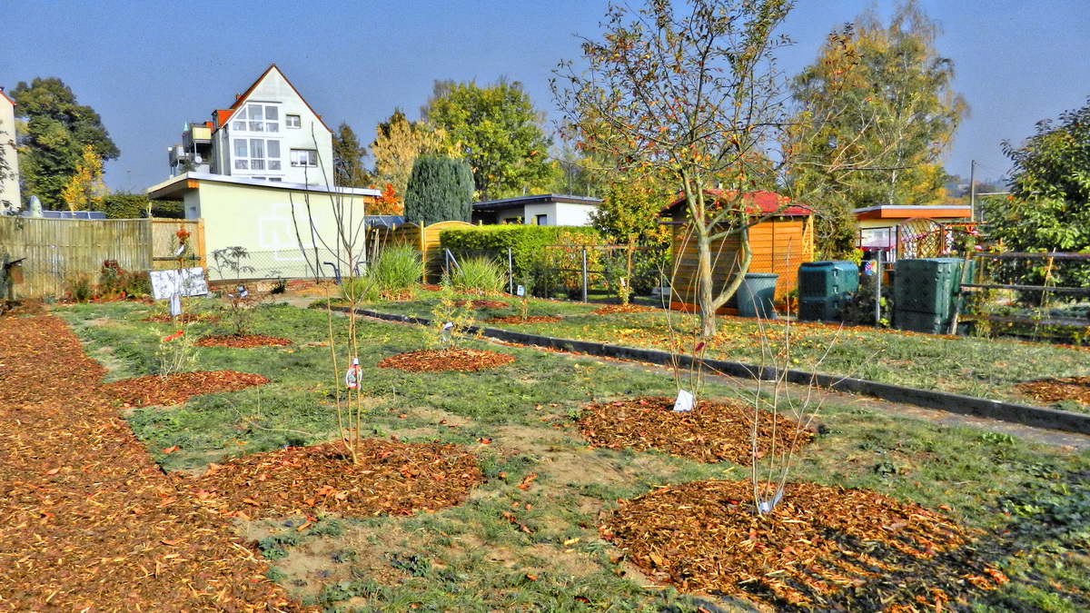 DSCN4576-2 DSCN4576-2