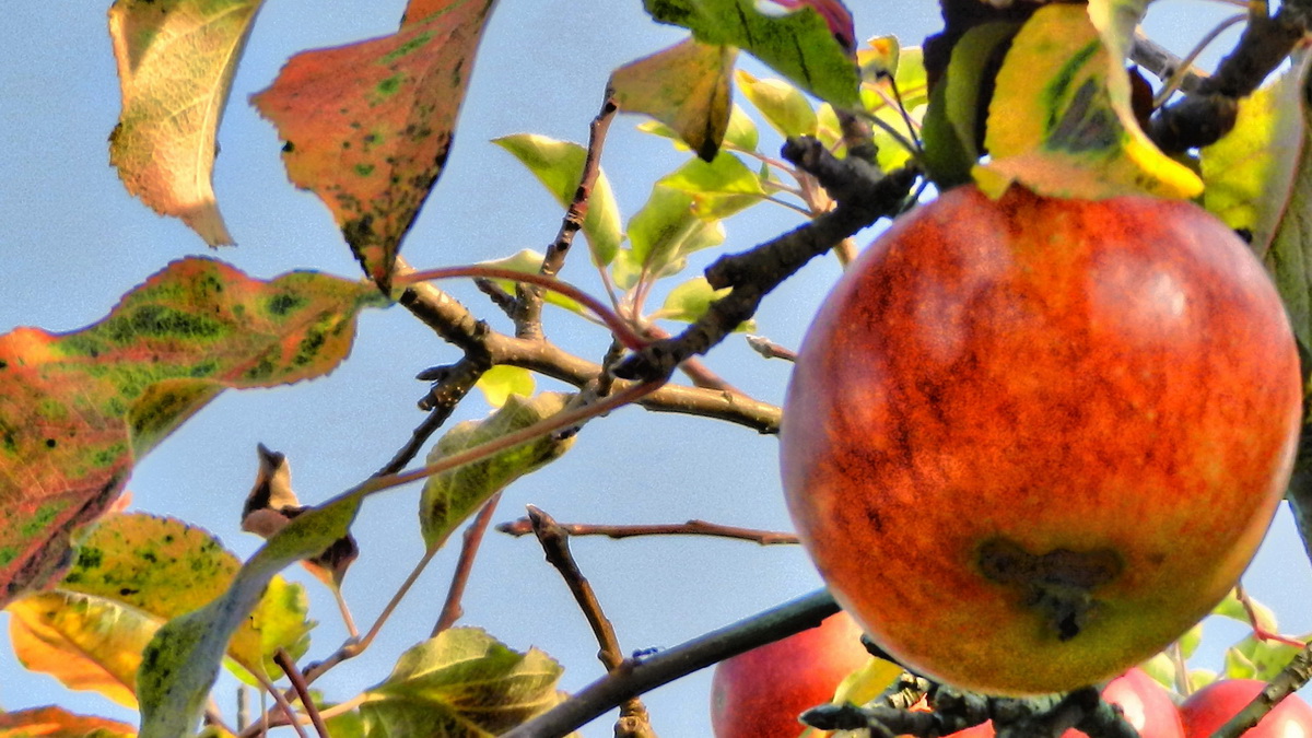 DSCN4584-2 DSCN4584-2