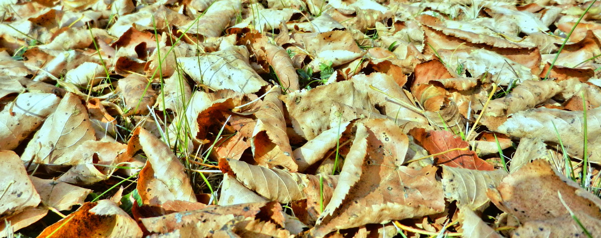 DSCN4585-3 DSCN4585-3