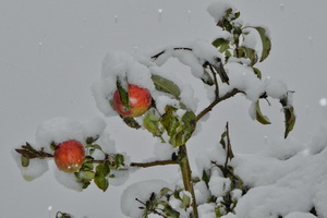 DSCN8074-3 DSCN8074-3