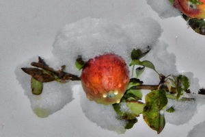 DSCN8074-5 DSCN8074-5