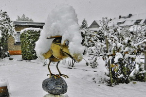 DSCN8077-4 DSCN8077-4