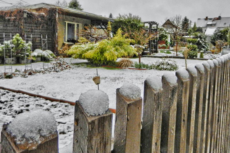 DSCN9219-2 DSCN9219-2