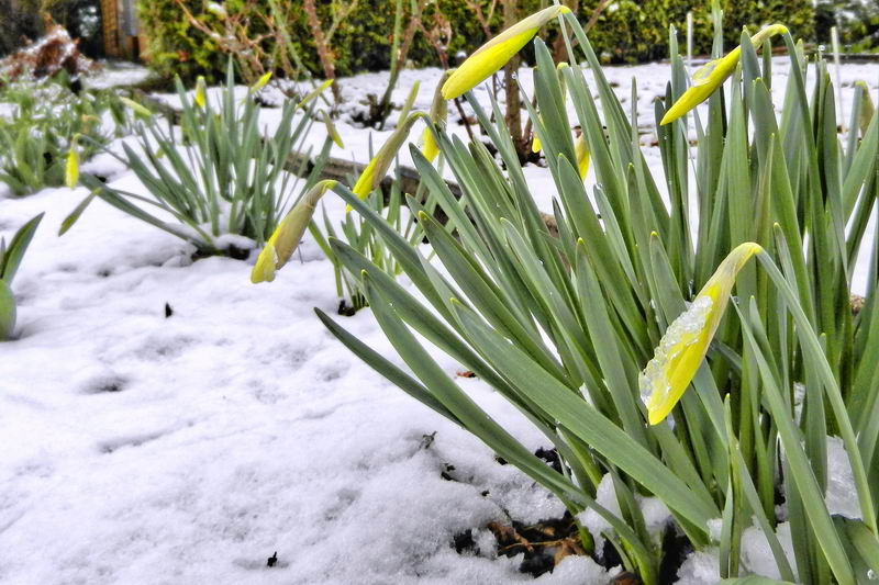 DSCN9220-2 DSCN9220-2