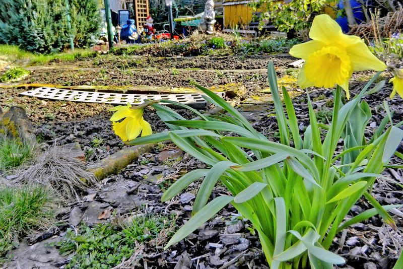 DSCN9223-2 DSCN9223-2