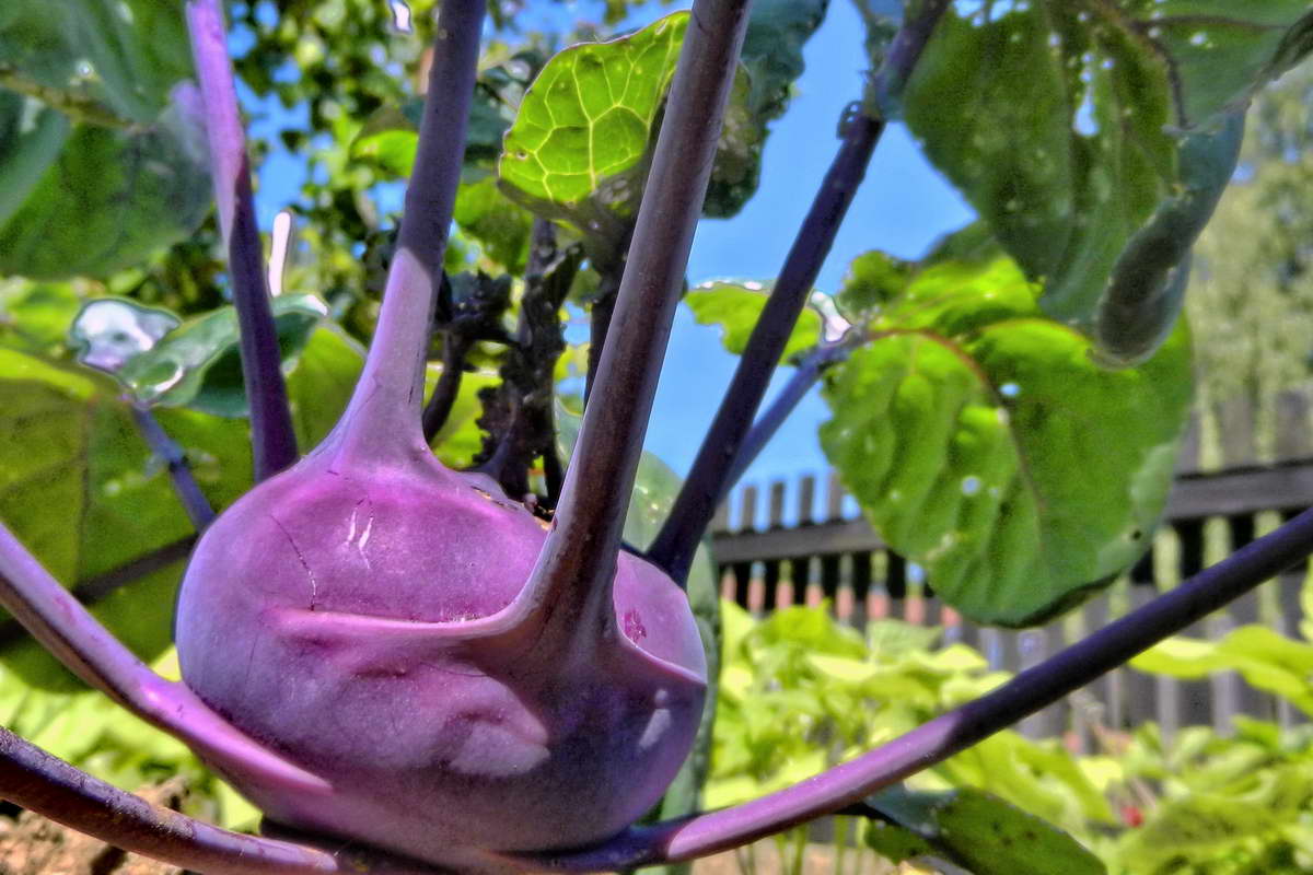 DSCN9922-2 DSCN9922-2