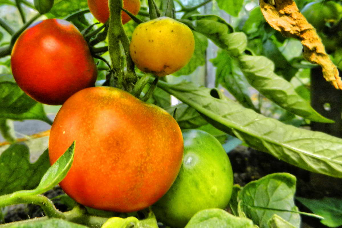 DSCN9932-2 DSCN9932-2