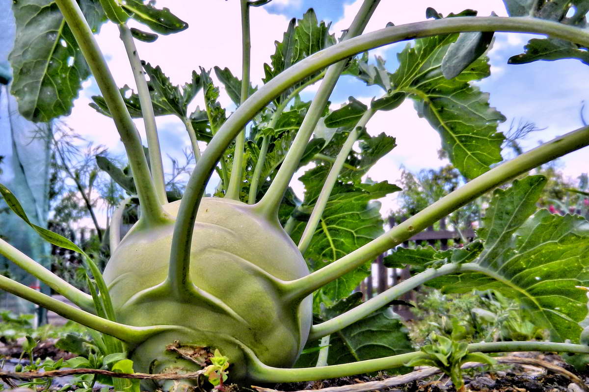 DSCN9967-2 DSCN9967-2