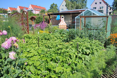 Garten 13