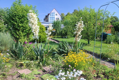 Garten 17