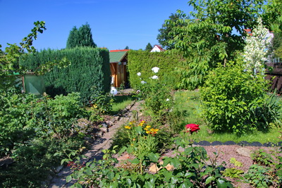 Garten 1