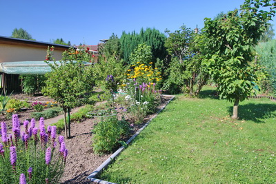 Garten 20
