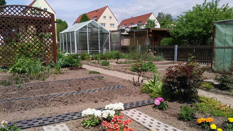 IMG_20160521_133816 IMG_20160521_133816