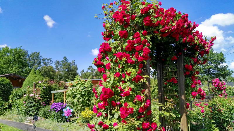 IMG_20160620_161405 IMG_20160620_161405