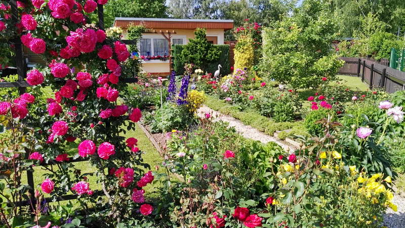 IMG_20160620_161718 IMG_20160620_161718