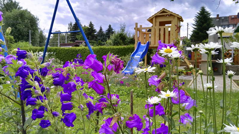 IMG_20160621_152458-2 IMG_20160621_152458-2