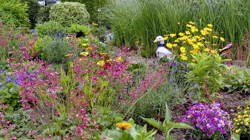 IMG_20160621_152811-2 IMG_20160621_152811-2