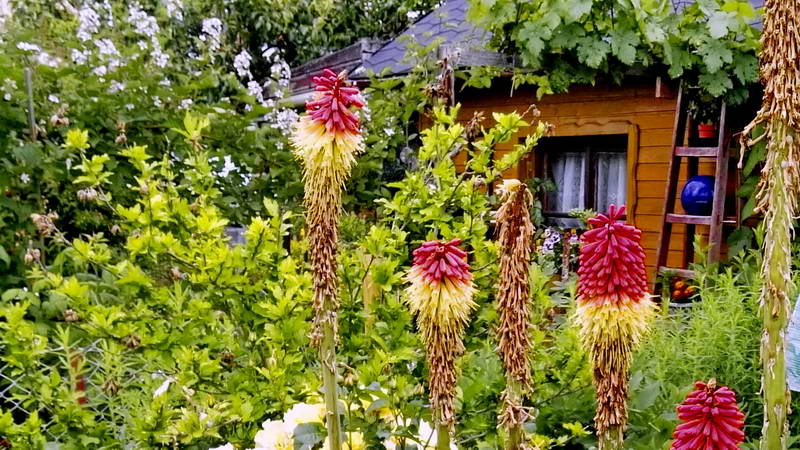 IMG_20160621_153147-3 IMG_20160621_153147-3