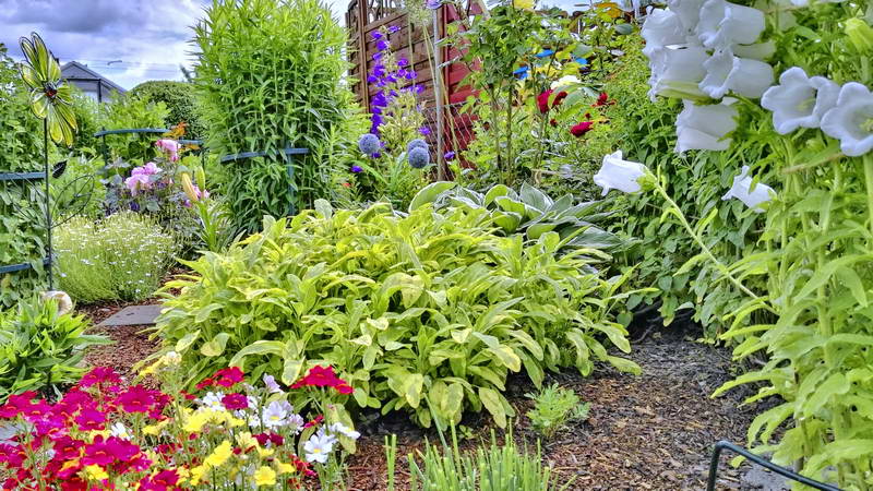 IMG_20160621_154655-2 IMG_20160621_154655-2