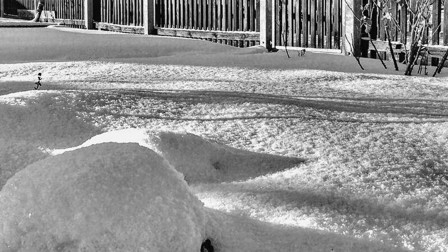 IMG_20170106_142658_sw1 IMG_20170106_142658_sw1