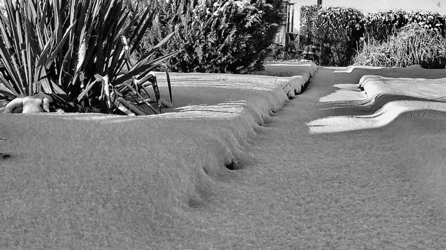 IMG_20170106_142853_sw IMG_20170106_142853_sw