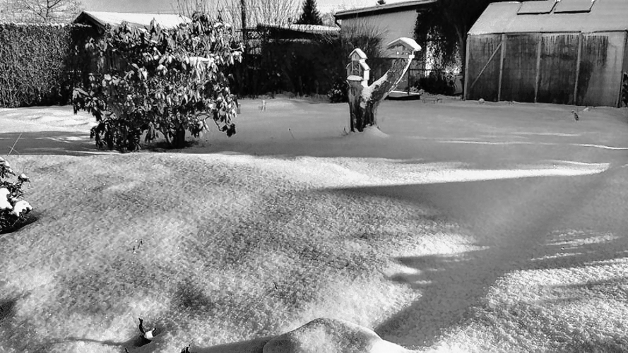 IMG_20170106_143209_sw IMG_20170106_143209_sw