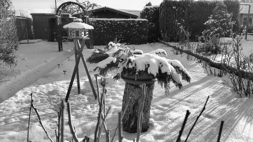 IMG_20170106_143232_sw IMG_20170106_143232_sw